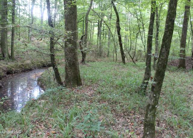 Property at NE Hopewell Rd, Brookhaven, MS 39601