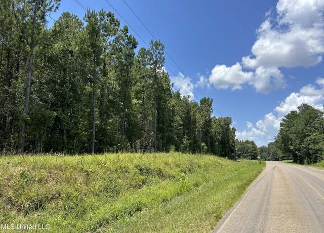 Property at Tbd Hwy 570/river Road N And S, Summit, MS 39666