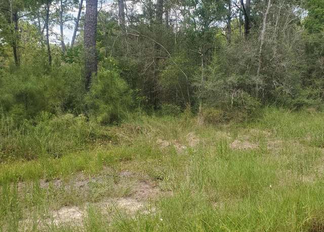Property at Dove Street Lot 81 & 82, Bay Saint Louis, MS 39520