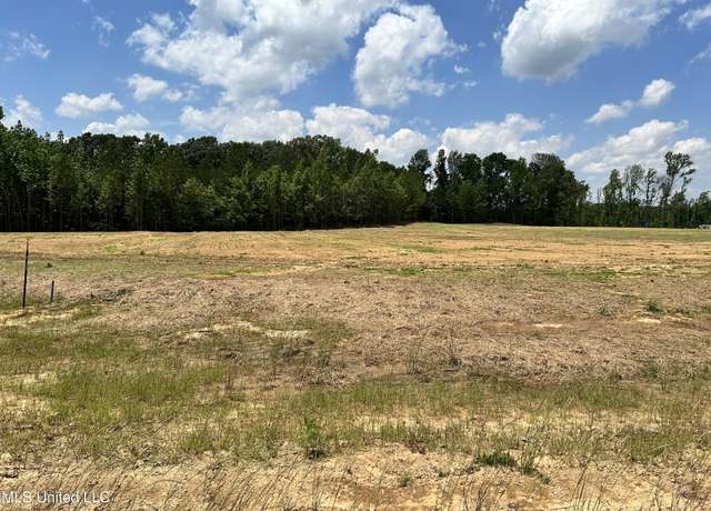 Property at 17 Riverwood Cv S, Lake Cormorant, MS 38641