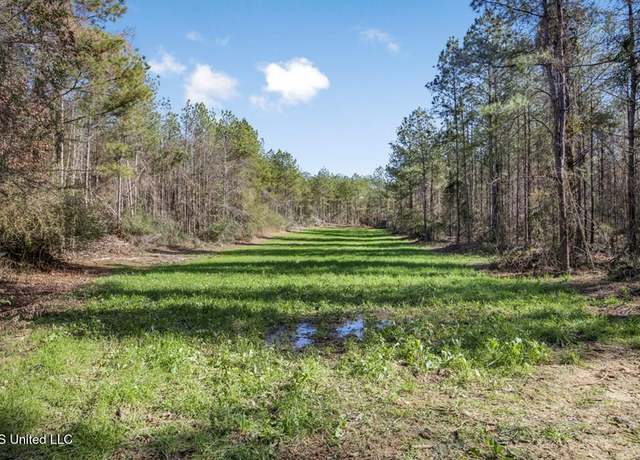 Property at 156 A L Williamson Rd, Prentiss, MS 39474