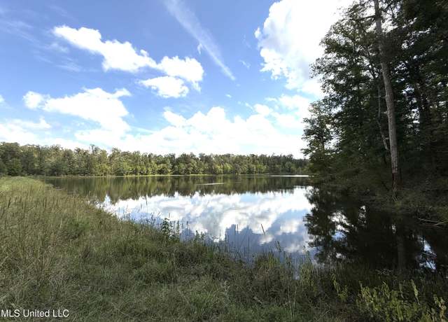 Property at 0 Highway 51, Winona, MS 38967