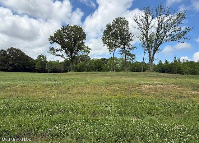 Property at Cedar Crest Cv, Byhalia, MS 38611