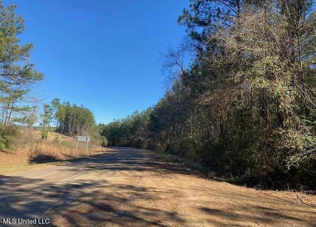 Property at 610 Mt. Zion Rd, Wesson, MS 39191