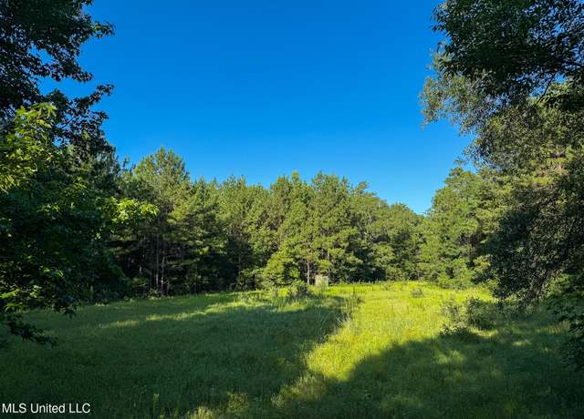 Property at 275+/- J M Burge Rd, Hattiesburg, MS 39402