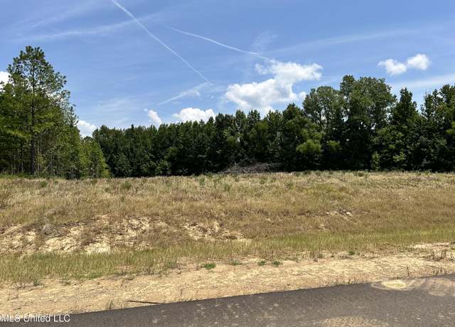 Property at 25 Riverwood Cv N, Lake Cormorant, MS 38641
