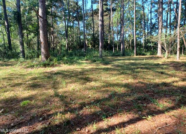 Property at Nhn Cheryl Ln, Lumberton, MS 39455
