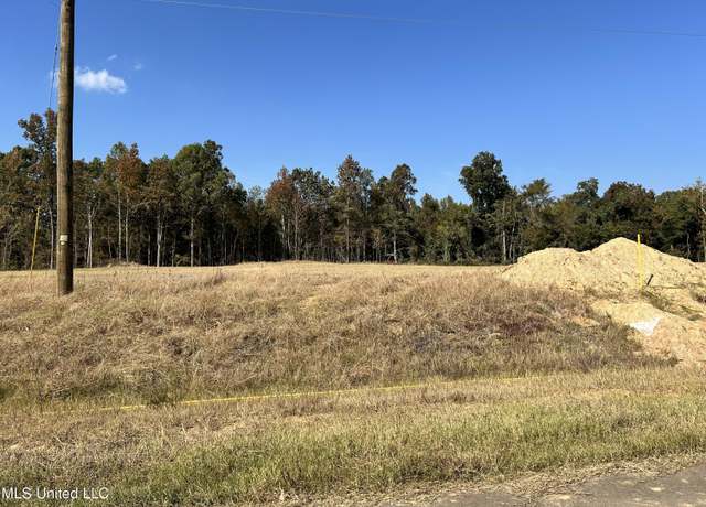 Property at 29 Hazelwood Dr, Lake Cormorant, MS 38641
