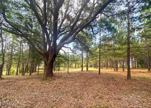 Property at 23ac Hinton Rd, Lucedale, MS 39452