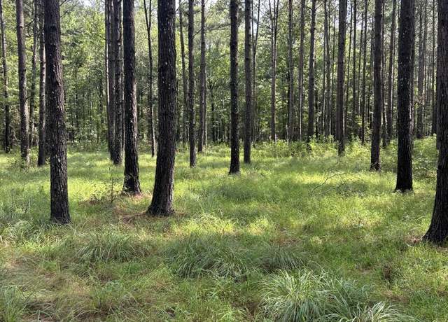 Property at Highway 49 N, Mount Olive, MS 39119
