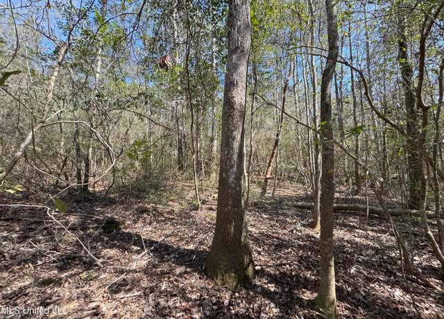 Property at 21 Range Line Rd, Perkinston, MS 39573