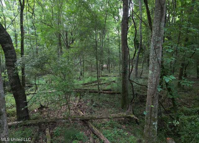 Property at 3 Old Hamburg Roxie Rd, Roxie, MS 39661