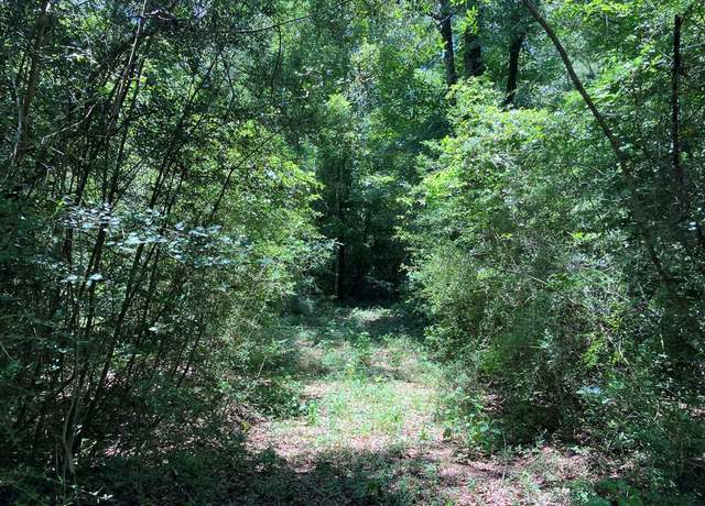 Property at Hwy 48, Sandy Hook, MS 39667
