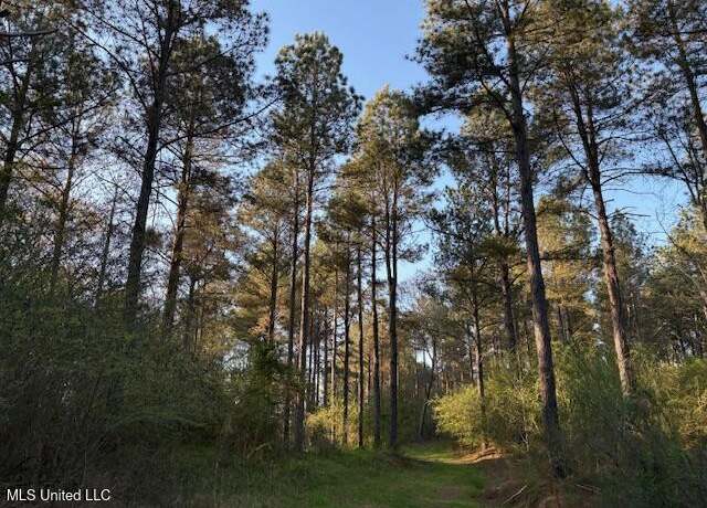 Property at Old Jackson Rd, Forest, MS 39074