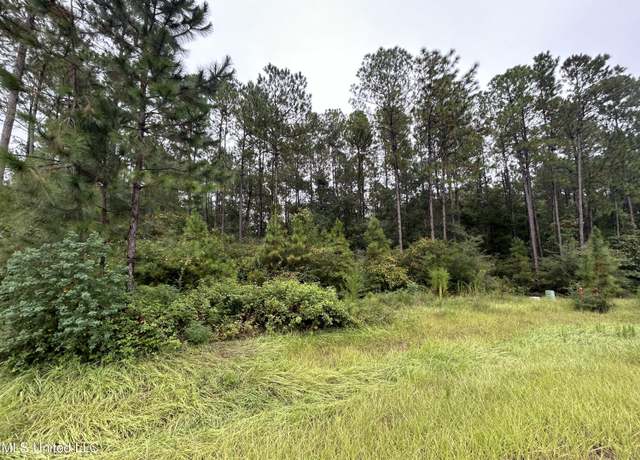 Property at 00 Sweet Birch Dr, Carriere, MS 39426