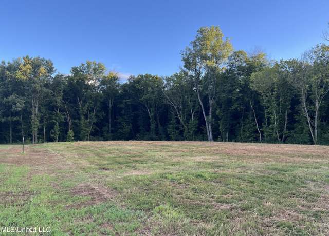 Property at 7789 Dean Rd, Lake Cormorant, MS 38641