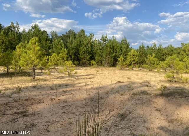 Property at 926 Virgin Mary Rd, Camden, MS 39045