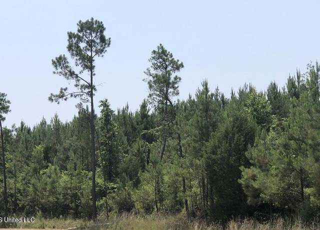 Property at Dodd Rd, Sallis, MS 39160