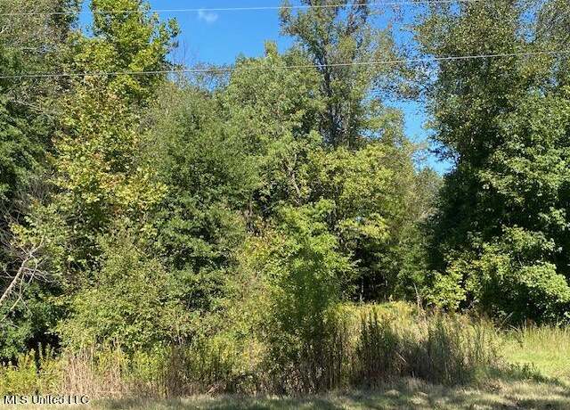 Property at 0 Deer Creek Rd, Byhalia, MS 38611