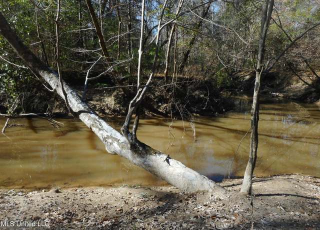 Property at Peter Mcaffee Dr, Brandon, MS 39042