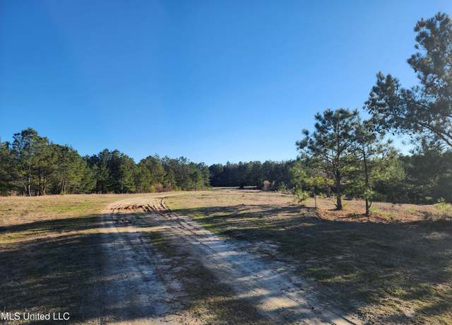 Property at 0 Lebanon Pinegrove Rd, Terry, MS 39170