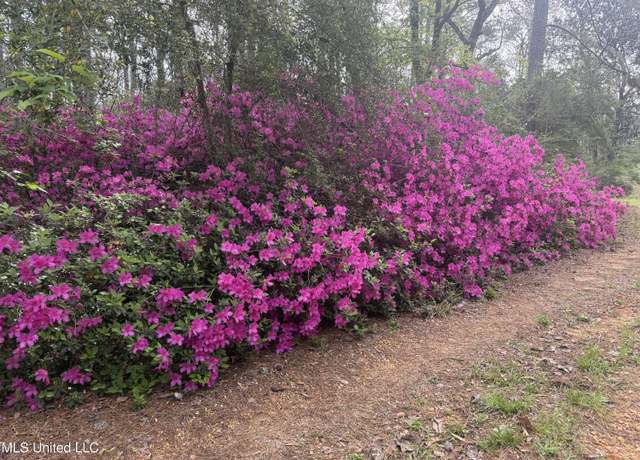 Property at 7000 Ms-570, Summit, MS 39666