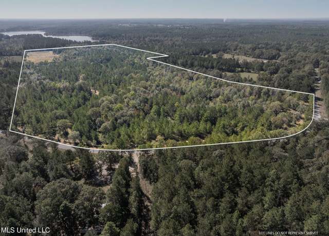 Property at 91 Acres Burge & Reyer, Poplarville, MS 39470