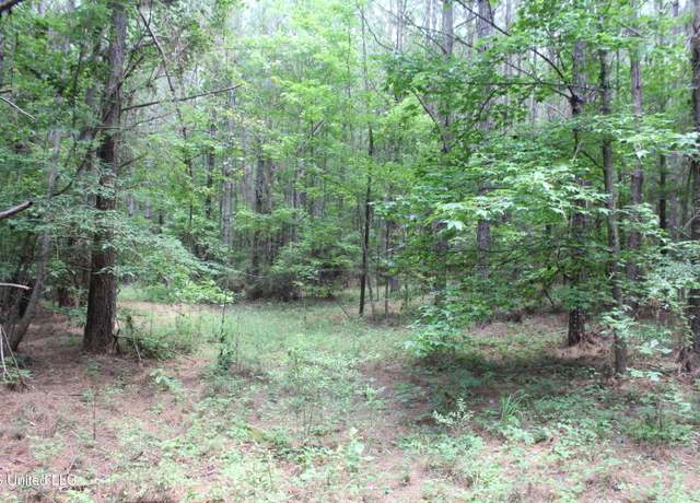 Property at Hwy 550, Brookhaven, MS 39601
