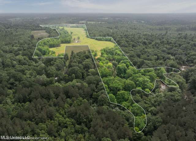 Property at 81.64 Acres William Warren Rd, Collins, MS 39428