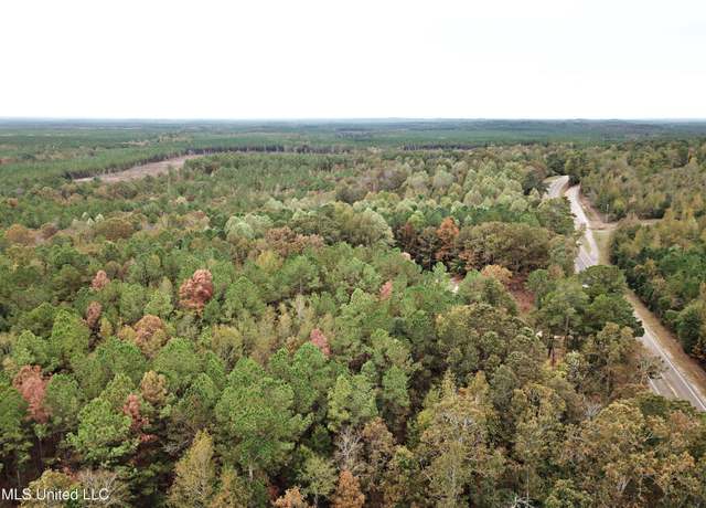 Property at 6046 Hwy 15, Louin, MS 39338