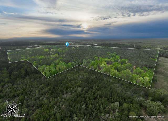 Property at 176 Burge And Reyer Rd, Poplarville, MS 39470, 5 beds, 3 baths