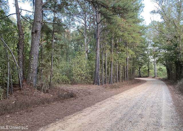 Photo of Kerr Rd, Carthage, MS 39051