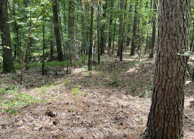 Property at 00 Pope Crowder Rd, Pope, MS 38658
