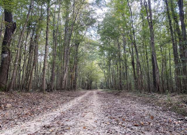 Property at Big Cedar Creek Rd, Lucedale, MS 39452