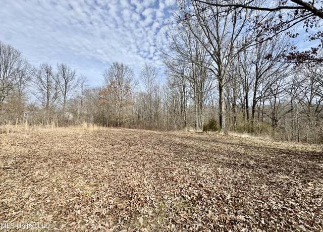 Property at 198 Tolbert Rd, Coldwater, MS 38618