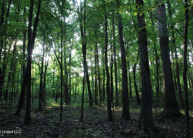 Property at 999 Whites Crossing Rd, Ashland, MS 38603