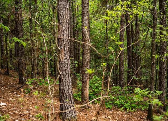Property at 2683 33 Hwy, Crosby, MS 39633