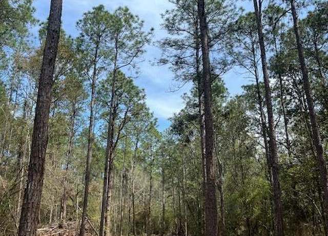 Property at 0 Ramie Farm Rd, Lucedale, MS 39452