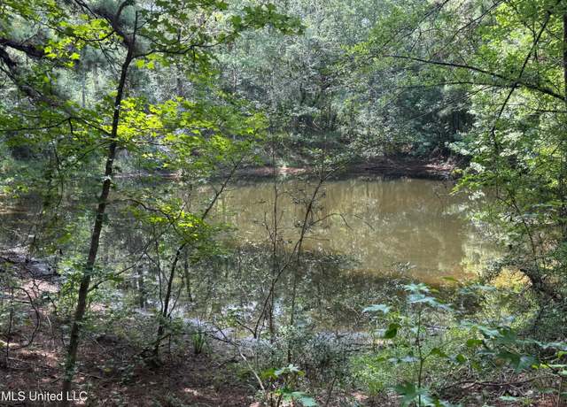Property at 4058 Muddy Springs Rd, Magnolia, MS 39652
