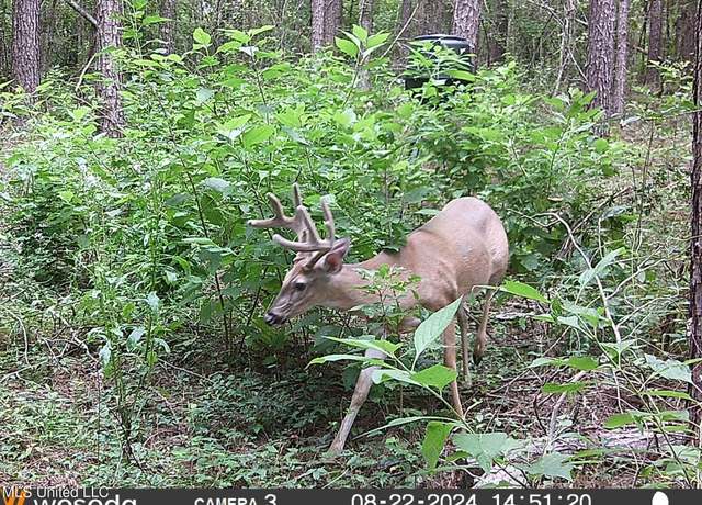 Property at 4058 Muddy Springs Rd, Magnolia, MS 39652