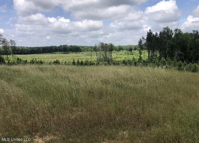 Property at 32 Country Road, Vaiden, MS 39176