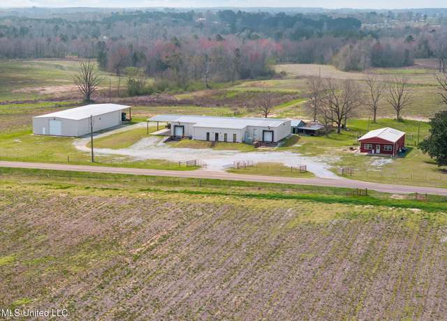 Property at 300 Acres +/- Hwy 532, Mount Olive, MS 39119