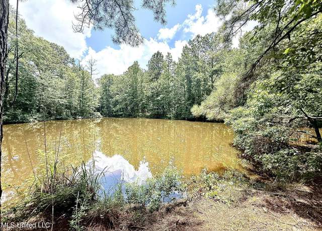 Property at Old Jackson Rd, Terry, MS 39170