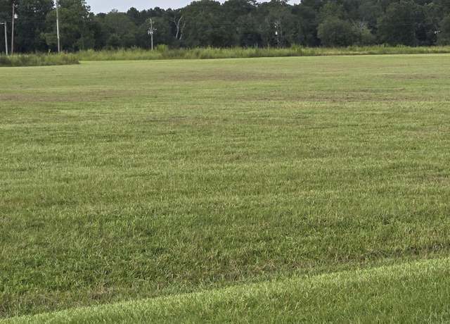 Property at 19 Dale View Dr, Carriere, MS 39426