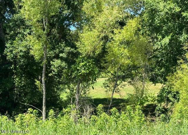 Property at Highway 196, Piperton, TN 38017