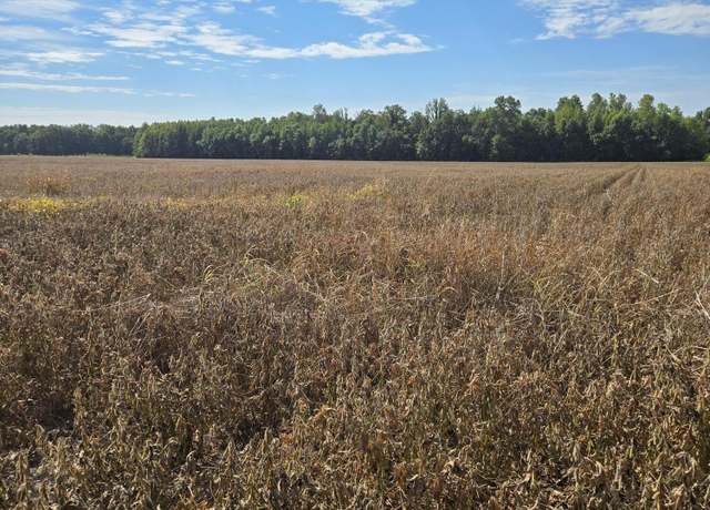 Property at 501-505 Tigue Rd, Alligator, MS 38720