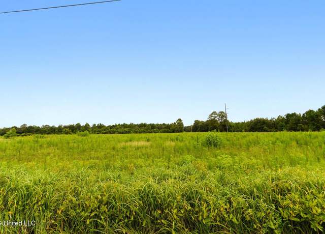 Property at 29 Acres Highway 613, Lucedale, MS 39452