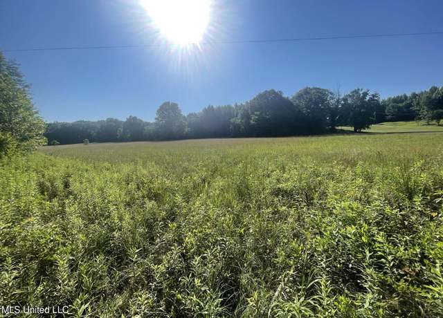 Property at Mcmaster Rd, Sarah, MS 38665
