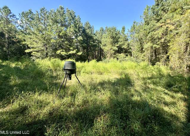 Property at Flat Top Road Rd, Picayune, MS 39466