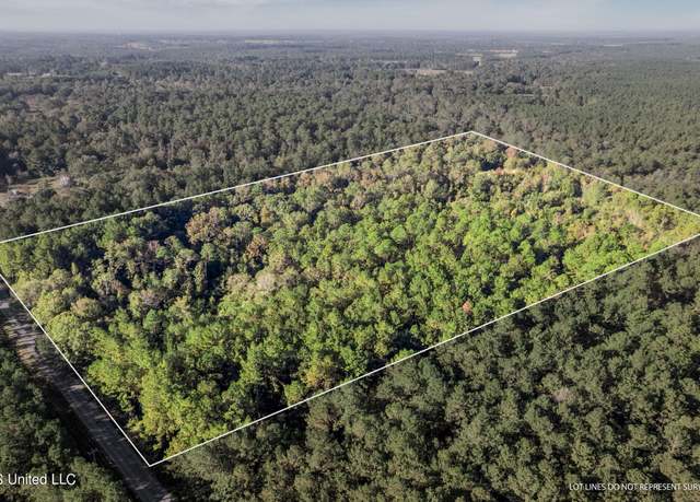 Property at Nhn Mill Creek Rd, Poplarville, MS 39470